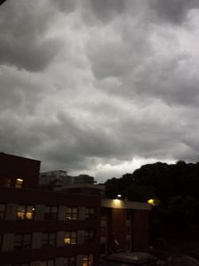 10516698_10151907213077824_4196919784337977827_n