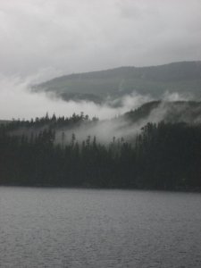 10401087_27110402823_7602_n